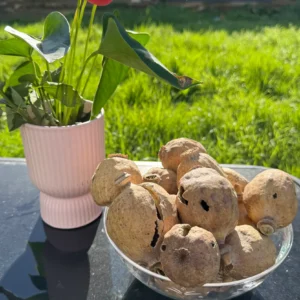 COBRA Austria Dried Poppy Heads(Seedless Pods) White Bag