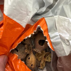 Spanish poppy pod - Dried Poppy Pods