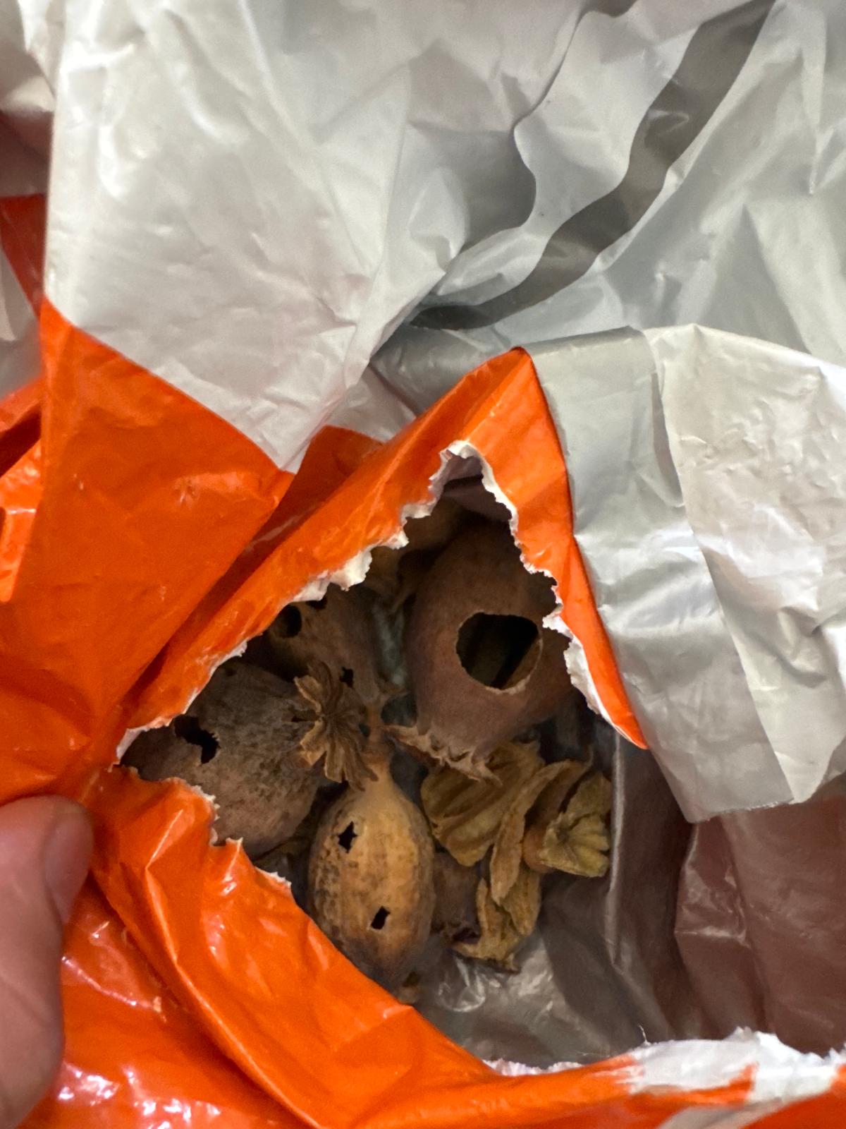 Spanish poppy pod - Dried Poppy Pods
